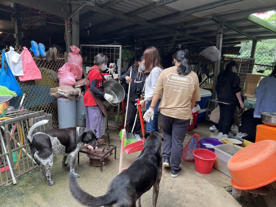 東南科技大學同學熱心清掃流浪狗之家周邊環境及清理垃圾。 東南科大/提供 This is an image